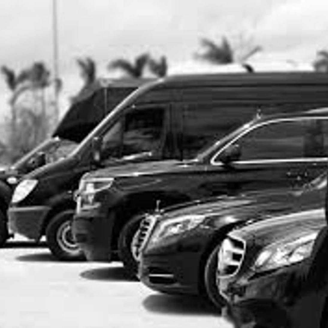 MC Sedan fleet